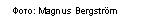 �������: ����: Magnus Bergström 



