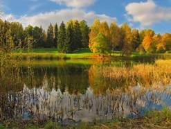 http://img-fotki.yandex.ru/get/4523/30525189.15/0_6fec6_65da58c4_XL.jpg