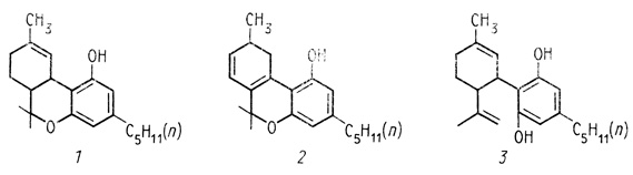 ���. 20. ����������� �� ������� [Turner, 1983]. 1 - ?9-�������������������� (���), tetrahydrocannabinol); 2 - ����������; 3 - ����������� (cannabidiol). ��� - �������� ���������������� �������� ��������� ���������� �������. ���������� ��� � ������������ ��������� ���������� ����� 1 % (�� ����� �����), � ������ - ����� 2%. ���������� ��������� �� ����������� ����� ������� ����������� ���