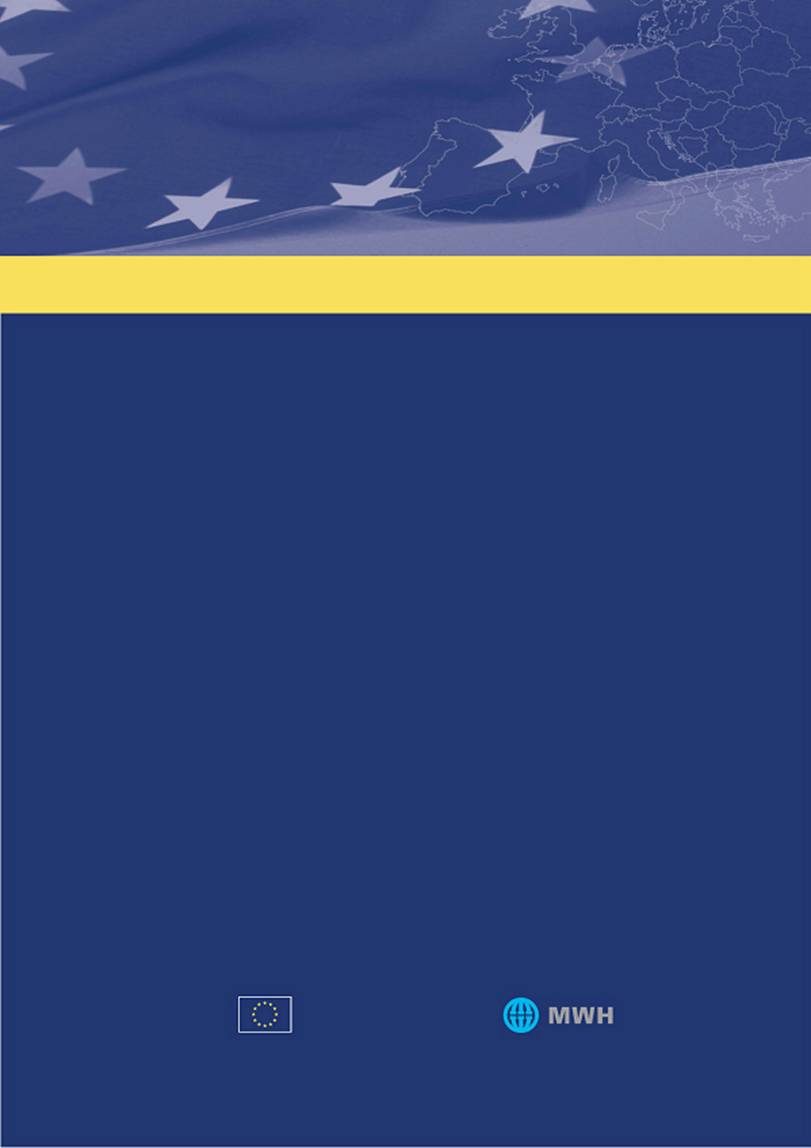 EU Report Bckgr