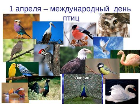 http://brest.greenbelarus.info/files/img0.jpg