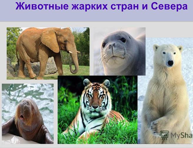 http://1.bp.blogspot.com/-BEuwLqvHGfc/Vputg7x9hLI/AAAAAAAAVJ4/DtsJUtp1hdQ/s1600/slide_1.jpg