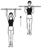 http://www.gto-normy.ru/wp-content/uploads/2014/06/gto-PODTYaGIVANIYa-SRYeDNIM-PRYaMYM-KhVATOM.gif