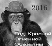 http://mtdata.ru/u25/photo59B3/20212096534-0/original.jpg