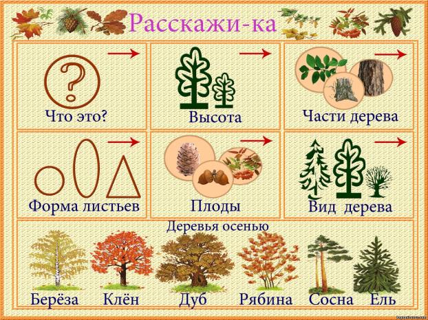 https://ds02.infourok.ru/uploads/ex/11f0/000618e7-359e9bed/hello_html_m4e911504.jpg
