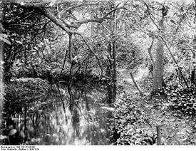 Bundesarchiv Bild 105-DOA0440, Deutsch-Ostafrika, Ostusambara, Kulimusibach.jpg