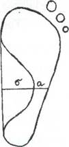 http://ok-t.ru/studopediaru/baza10/456309715792.files/image010.jpg
