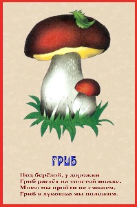 http://22ds.74332-s-024.edusite.ru/img/p10_grib.jpg