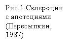 �������: