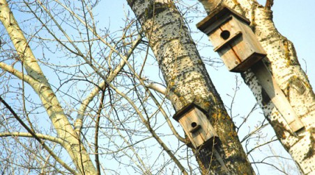 http://static.lipetskmedia.ru/images/news_/010/522_big.jpg