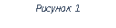 �������: