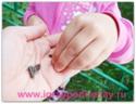 http://www.igraypodrastay.ru/images/progulka-kormim.jpg