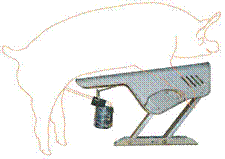 http://www.agroproj.ru/swin/osem/pictures/image002.gif