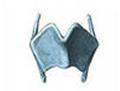 http://im6-tub-ru.yandex.net/i?id=103099387-55-72&n=21