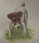 wivotnie6