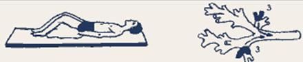 http://www.rusvrach.ru/img/data/ms-4-2004str18.gif