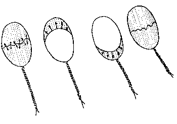 img4