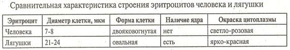 Изображение 009