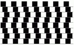 http://www.psy.msu.ru/illusion/distortion/parall2.gif