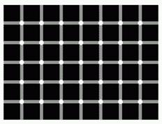 http://www.psy.msu.ru/illusion/contrast/blink.gif