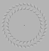 http://www.psy.msu.ru/illusion/moving/illusion.gif