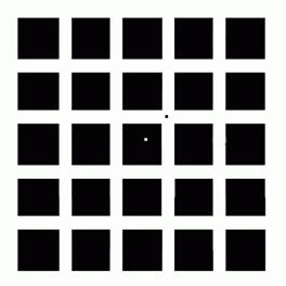 http://www.psy.msu.ru/illusion/aftereffect/hh.gif