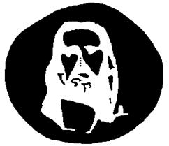 http://www.psy.msu.ru/illusion/aftereffect/men.gif