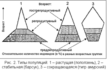 ��������: image16