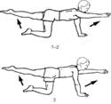 Описание: http://aupam.ru/pages/fizkult/lechebnaya_gimnastika_rasse_skleroze/images/page_06_clip_image012.jpg