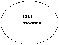 ����: ���

��������


