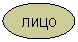 ����: ����