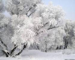 http://www.o-prirode.com/_ph/48/1/160101718.jpg?1421696294
