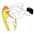 http://garmonia.org/other/instructions/mai-sling/back/images/06.gif