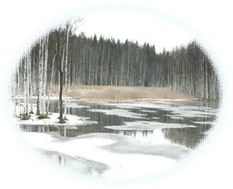 C:\Users\1\Desktop\�����