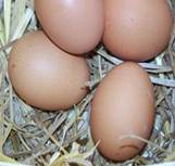 A basketful of eggs
