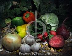 Image of Salad