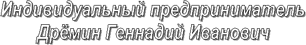 Индивидуальный предприниматель