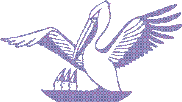 pelikan1