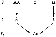 http://d3dxadmpi0hxcu.cloudfront.net/goods/ymk/biology/work3/theory/3/1.gif