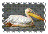 http://www.povodok.ru/pics/art61/art6001_0.jpg