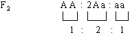http://d3dxadmpi0hxcu.cloudfront.net/goods/ymk/biology/work3/theory/3/3.gif