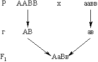 http://d3dxadmpi0hxcu.cloudfront.net/goods/ymk/biology/work3/theory/3/4.gif
