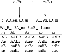 http://d3dxadmpi0hxcu.cloudfront.net/goods/ymk/biology/work3/theory/3/5.gif