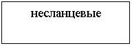 �������: �����������