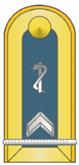 GERMA~17