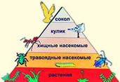 http://im2-tub-ru.yandex.net/i?id=4992c1438b418910890d1b4755882cdd-139-144&n=21