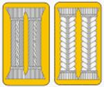 GERMAN~9