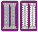 GERMAN~8