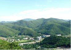 http://sakvoyage.perm.ru/userfiles/Image/blacksea/tuapse2.jpg