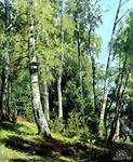 http://im5-tub-ru.yandex.net/i?id=114505111-30-72&n=21